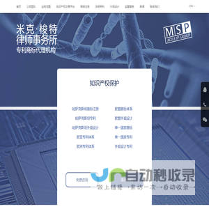 俄罗斯专利代理-俄罗斯专利商标代理机构/欧洲、一带一路国家的专利、商标注册及知识产权服务-MSP