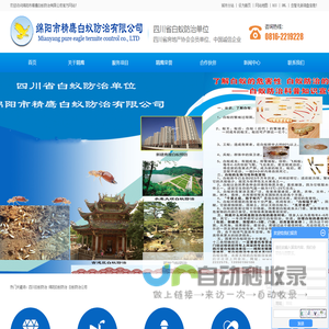 四川白蚁防治_绵阳白蚁防治_白蚁防治公司-绵阳市精鹰白蚁防治有限公司